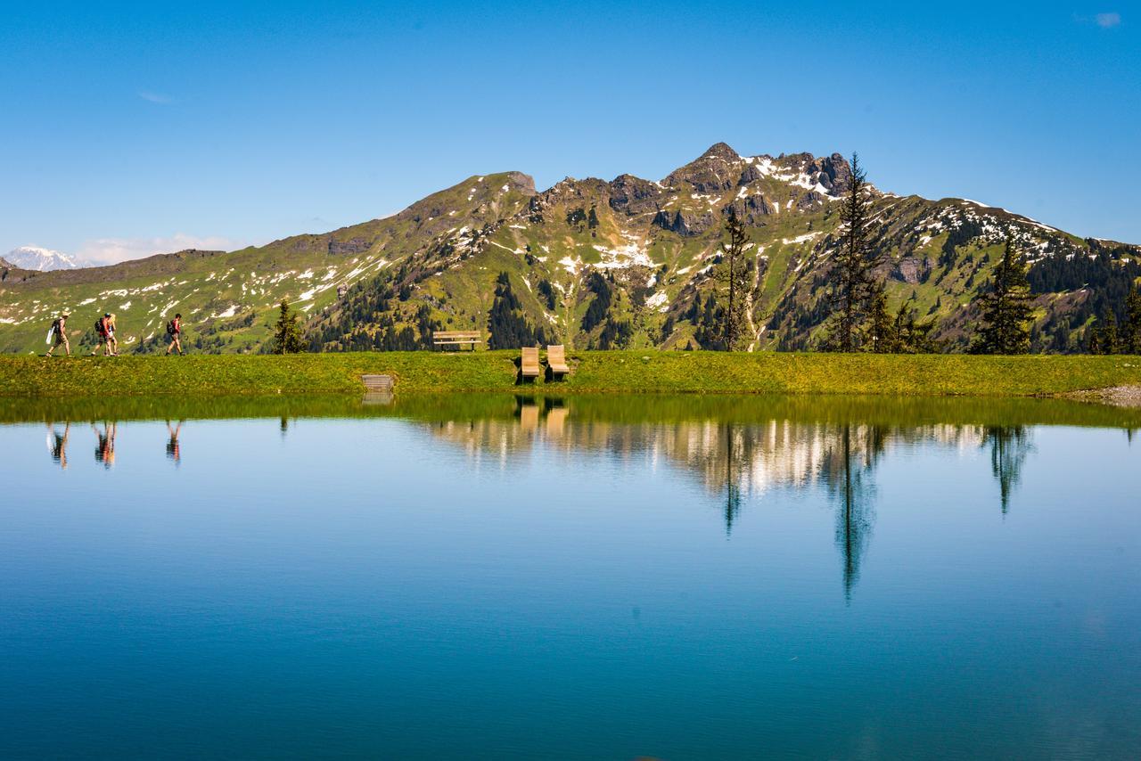 Bergparadies Appart Stubnerkogel Daire Dorfgastein Dış mekan fotoğraf